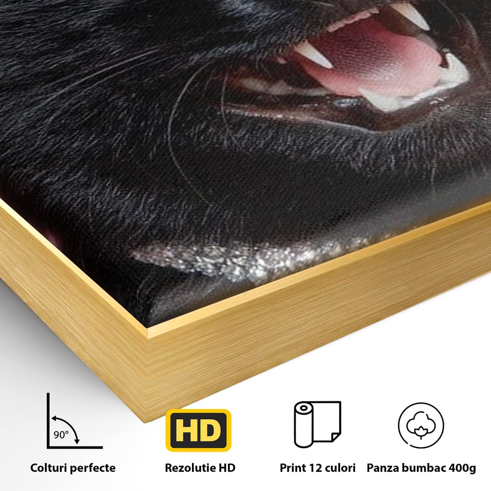 Detaliu al suprafetei: tablou canvas cu pisica neagra bijuterie, in rama de aluminiu auriu